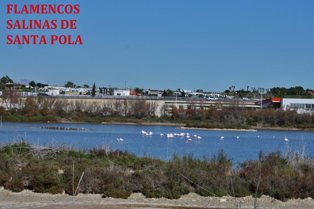 Estudio Marina De Santa Pola Kültér fotó